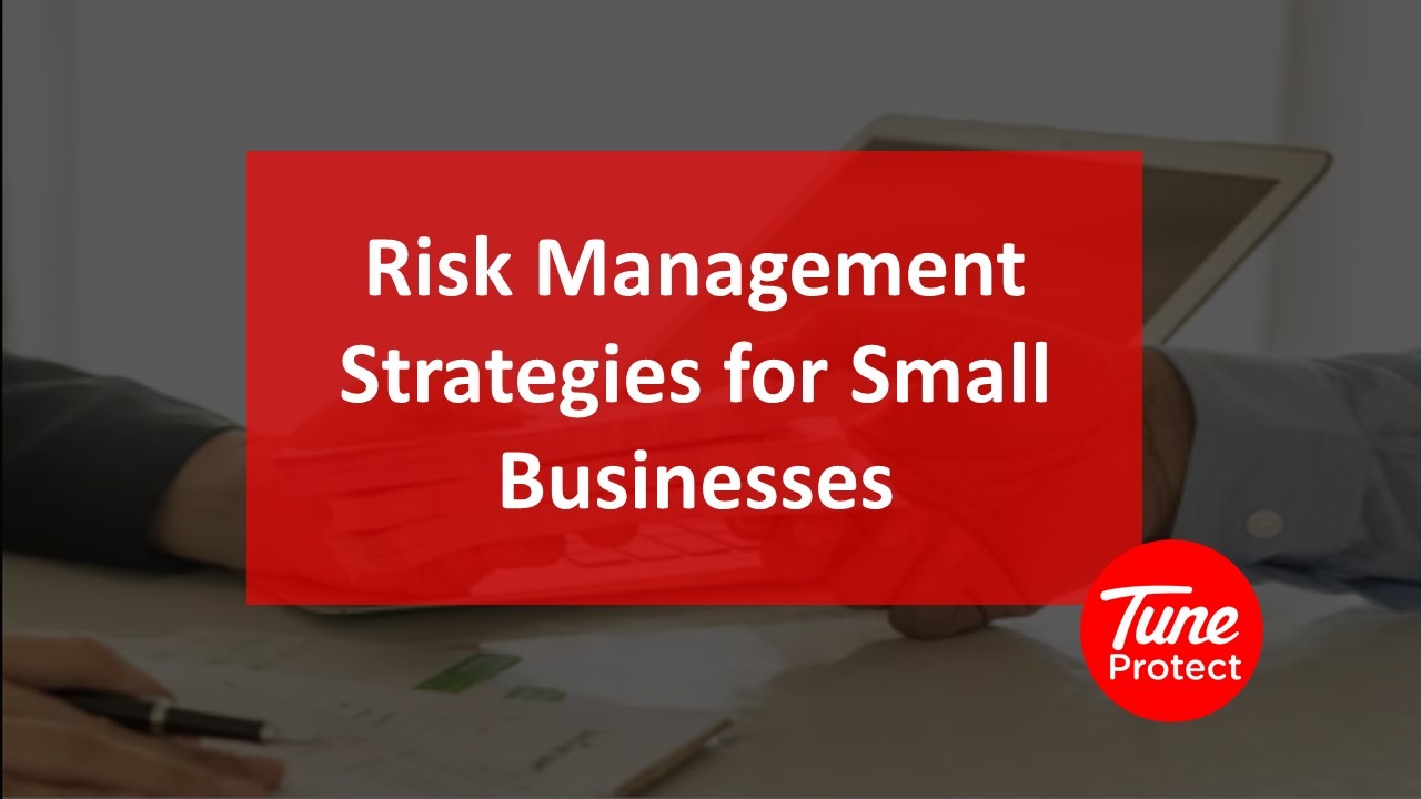 Risk Management Strategies for Small Businesses by Tune Protect